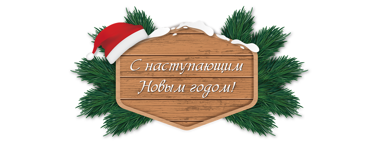 С наступающим Новым годом